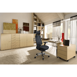 Imagen 10 de Silla Ejecutiva 